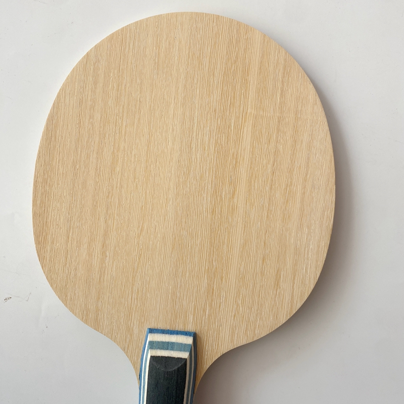 Lemuria VIS Carbon Fiber Table - đánh giá và giá Xu Xin Table Tennis