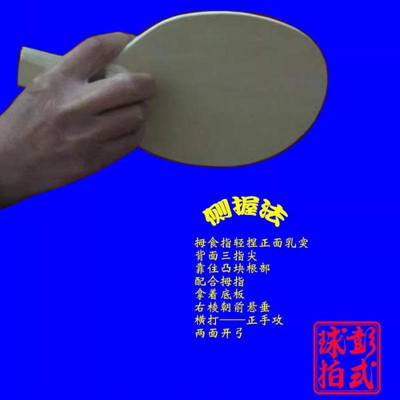 Chinese/Japanese Style Table T - đánh giá và giá Table Tennis Xiom