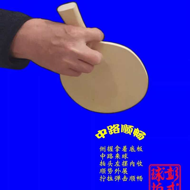 Chinese/Japanese Style Table T - đánh giá và giá Table Tennis Xiom